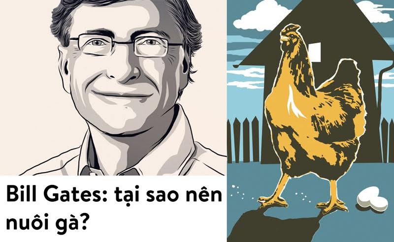 Bill Gates nuôi gà để cải thiện kinh tế