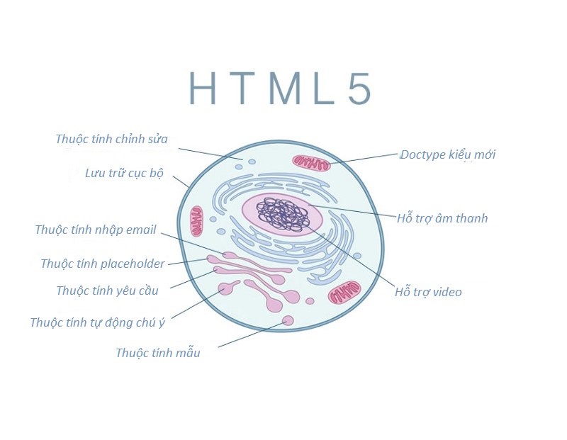 HTML5 cell