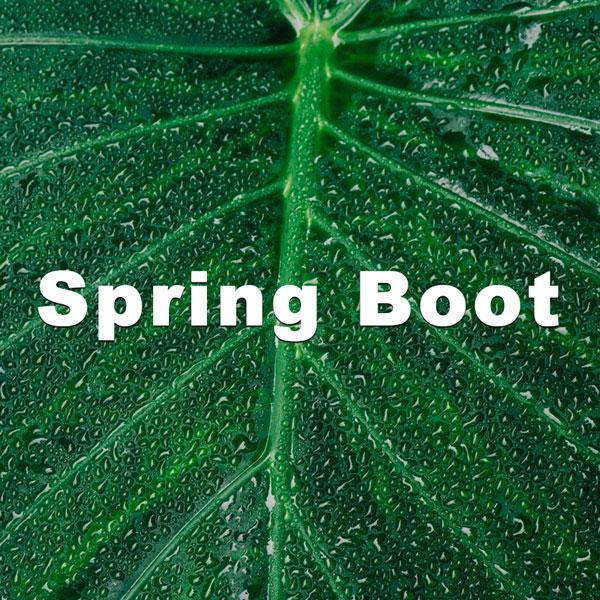 Spring Boot - Web Back End