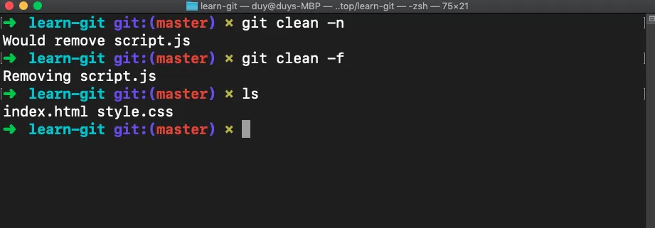 git đã xoá file script.js