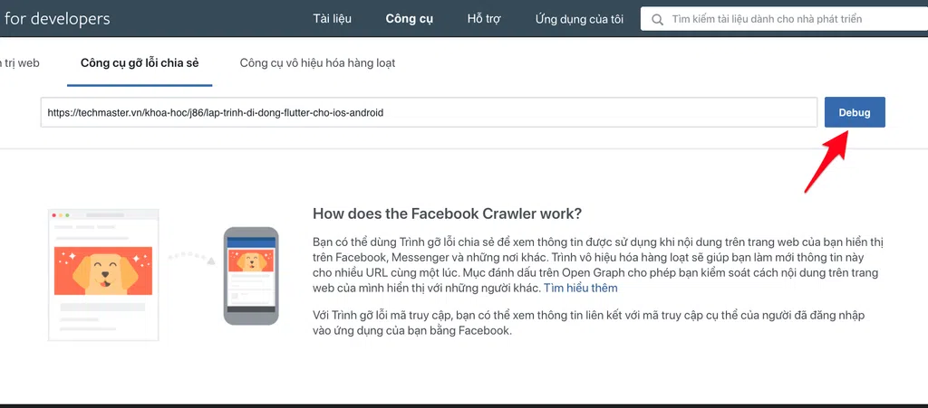 Paste link rồi bấm Debug