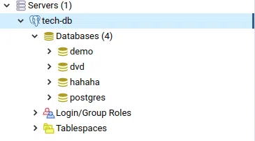 Database cluster tech-db bao gồm 4 database: demo, dvd, hahaha và postgres