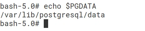 Thư mục /var/lib/postgresql/data đóng vai trò như thư mục gốc trong Postgres