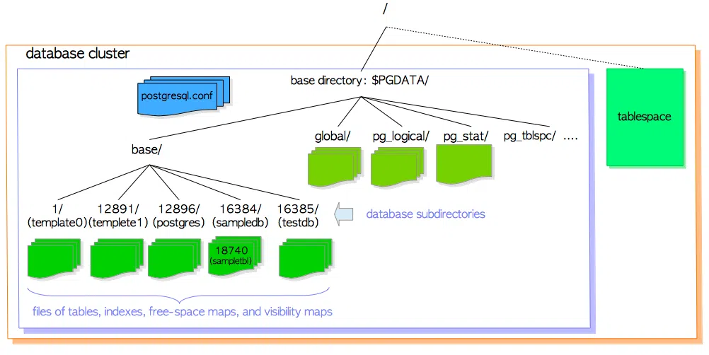 Cấu trúc file và thư mục trong 1 database cluster