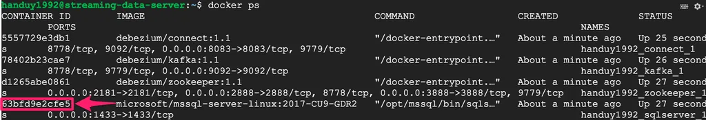 ID của container chạy SQL Server