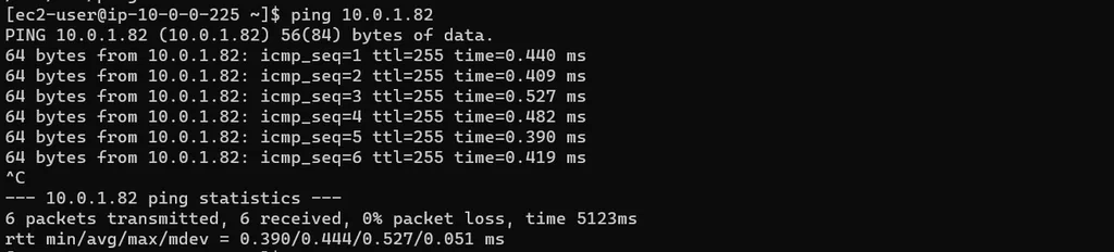 ping private instance