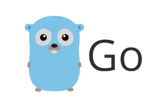 Golang - Iris Web Framework #11: Wrap the Router