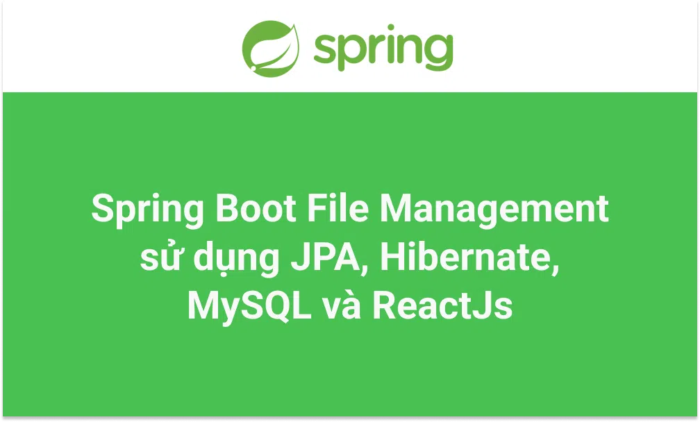 Spring Boot File Management sử dụng JPA, Hibernate, MySQL và ReactJs (1)