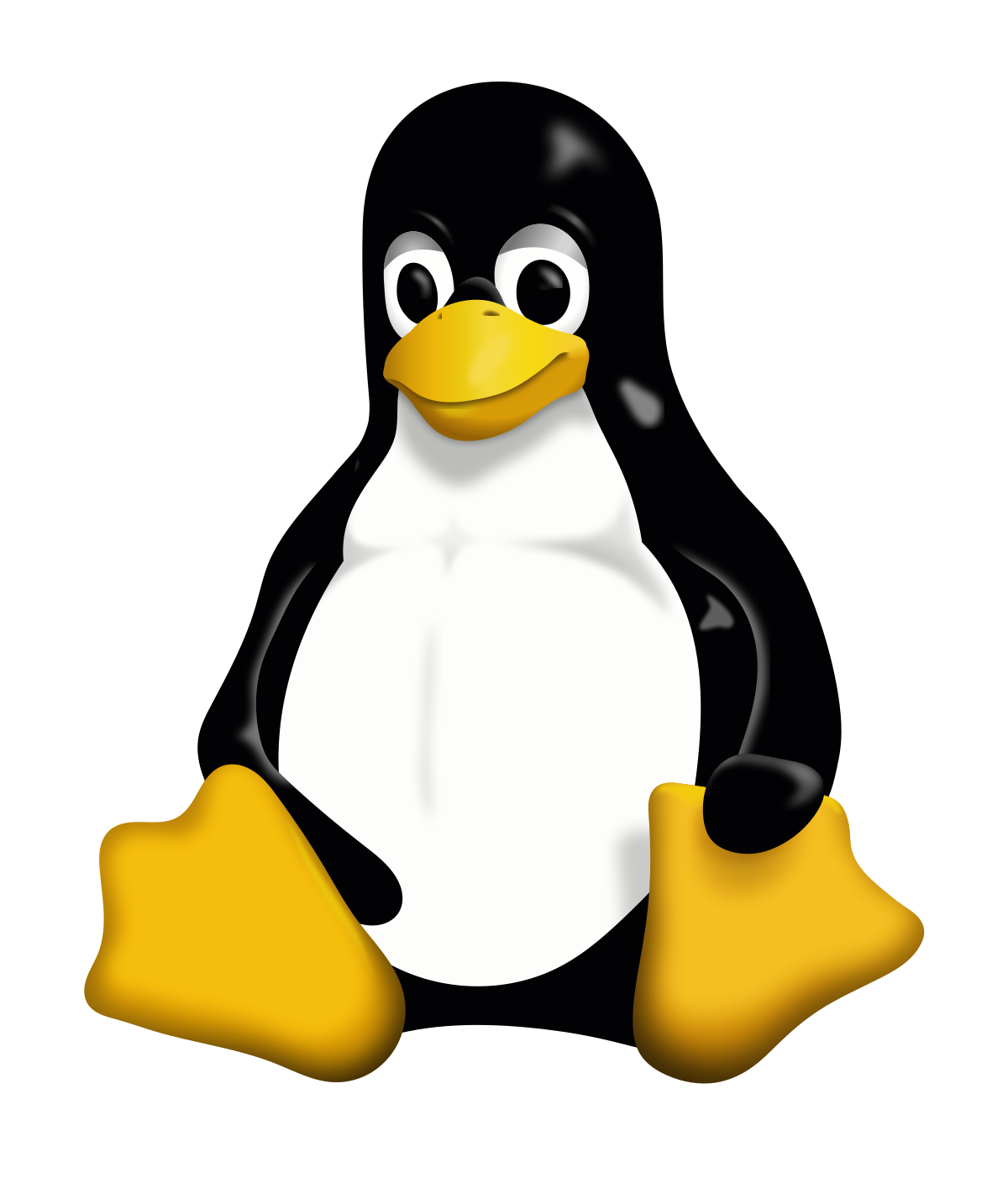 Cẩm nang các tập lệnh Linux mà bạn hay dùng