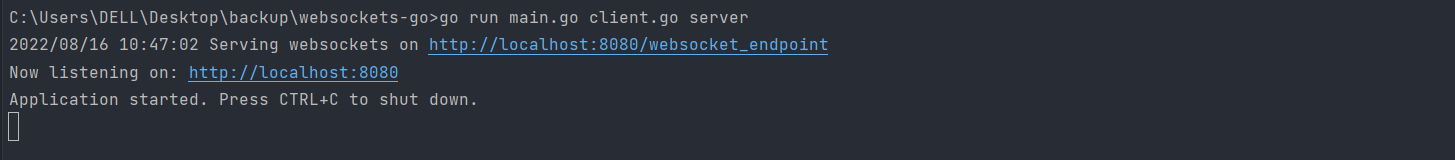 server-websocket