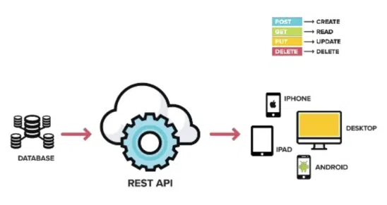 Chia sẻ kinh nghiệm làm dự án web REST API