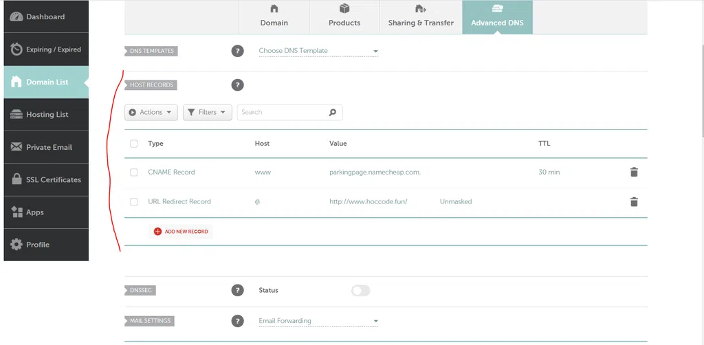 Host Records Namecheap