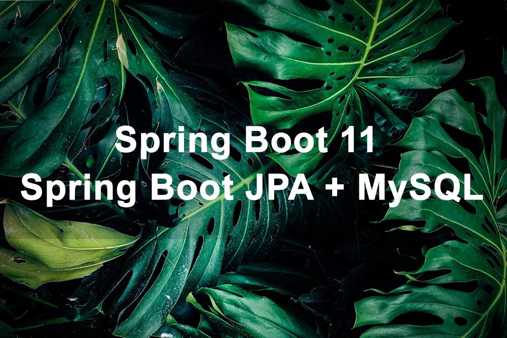 Spring Boot 11: Hướng dẫn Spring Boot JPA + MySQL