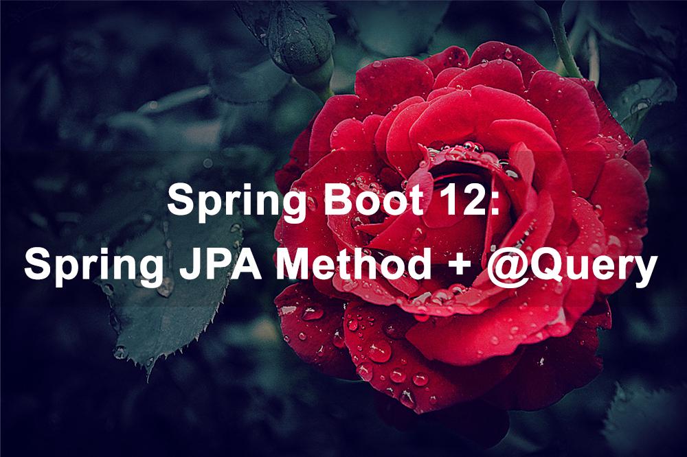 Spring Boot  12: Spring JPA Method + @Query