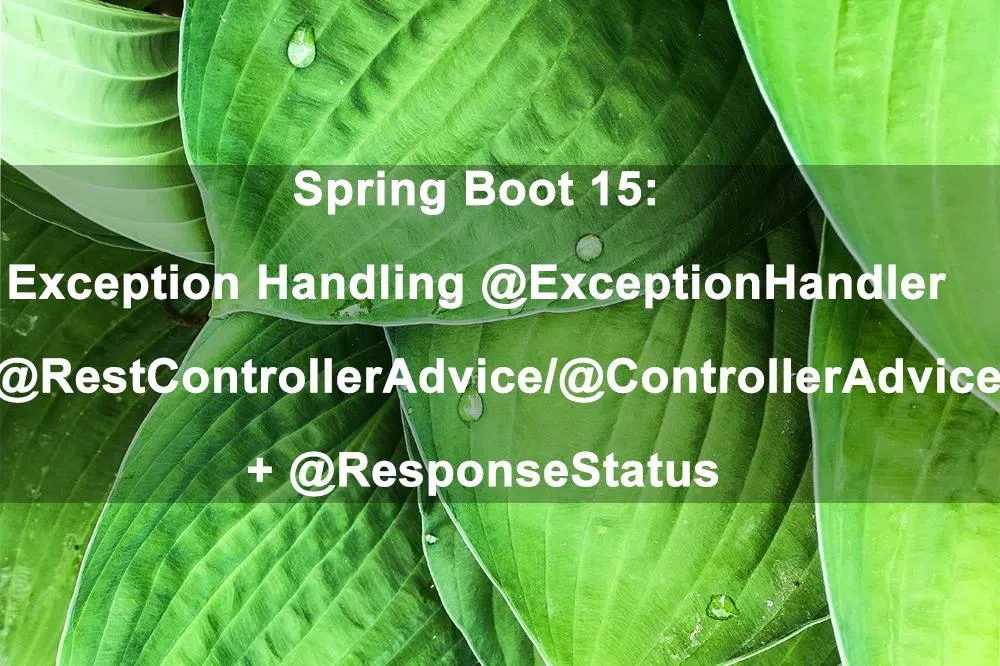 Spring Boot 15:  Exception Handling @ExceptionHandler + @RestControllerAdvice / @ControllerAdvice + @ResponseStatus