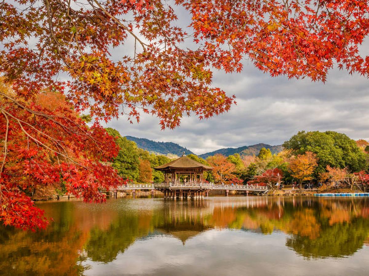 Cùng khám phá Du lịch mùa thu tại Nhật Bản
