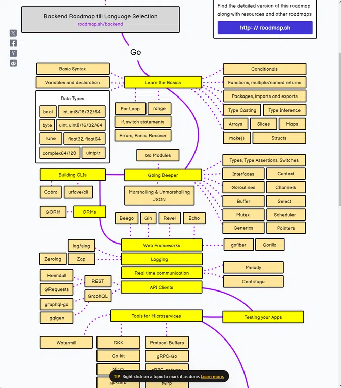 roadmap_golang